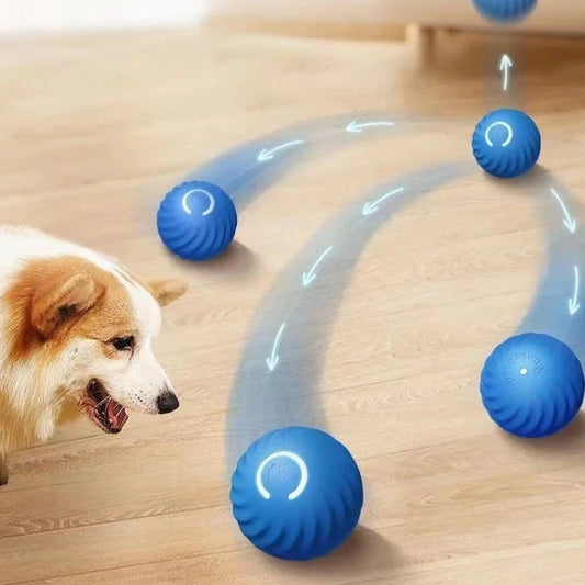 Have you heard of the ultimate smart toy ball for dogs? - Entertain and exercise your furry friend
